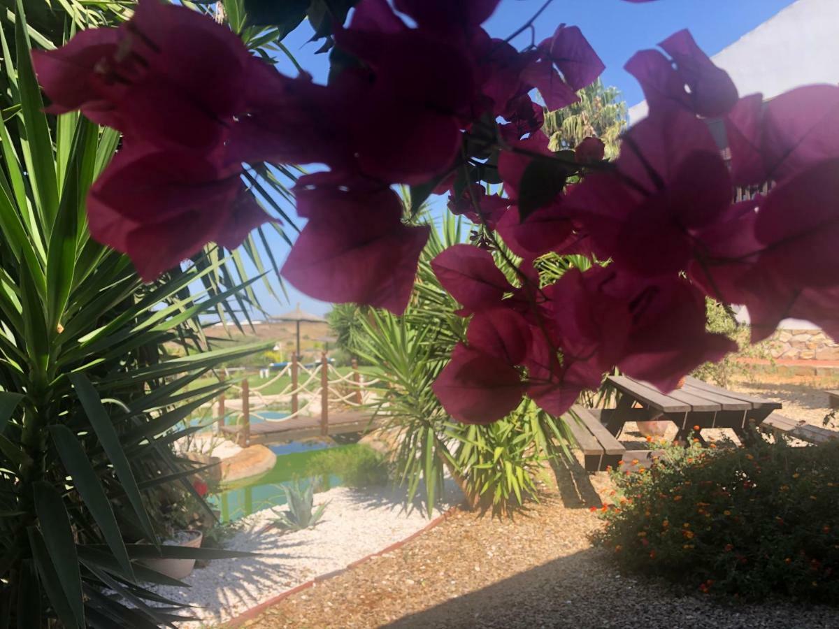 Finca Andalucia Conil De La Frontera Exteriör bild