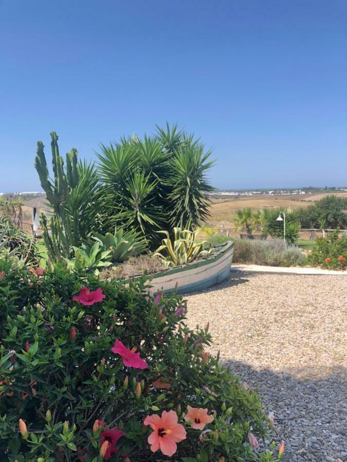 Finca Andalucia Conil De La Frontera Exteriör bild